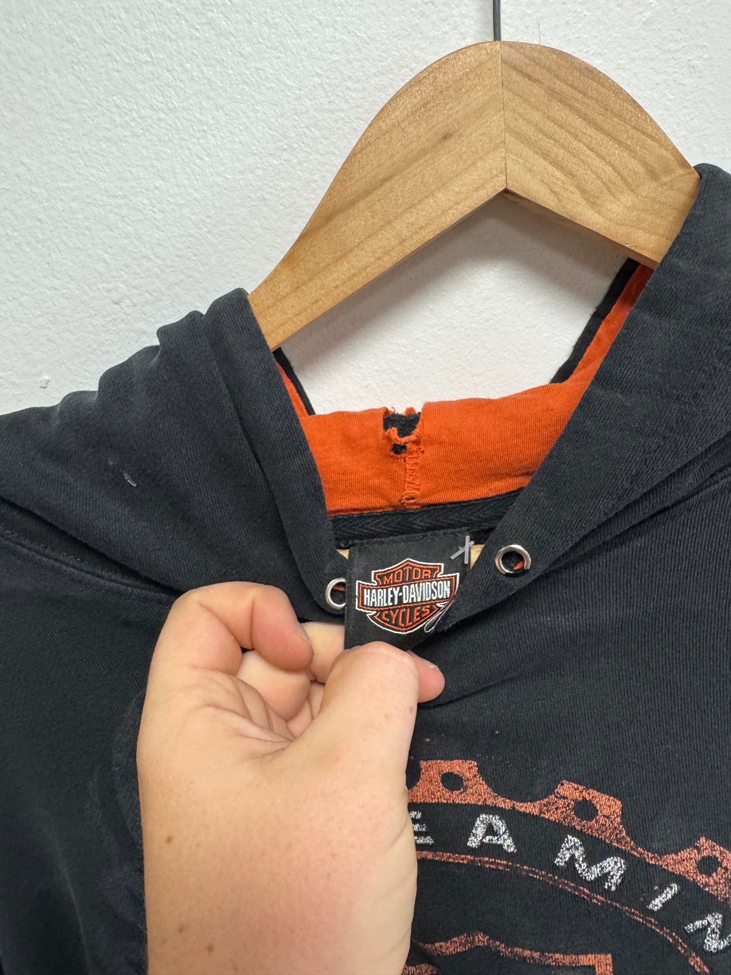 00’s Harley Davidson Hoodie Thrashed 24.5x27