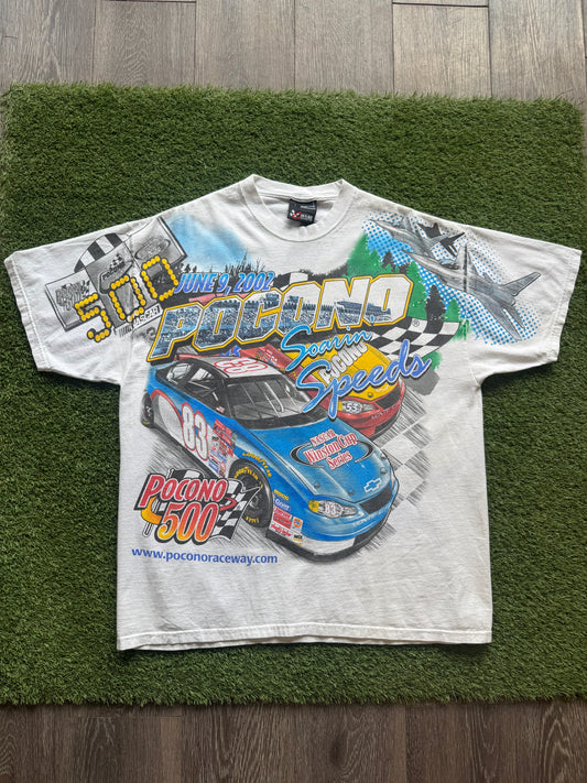 2002 NASCAR AOP Large