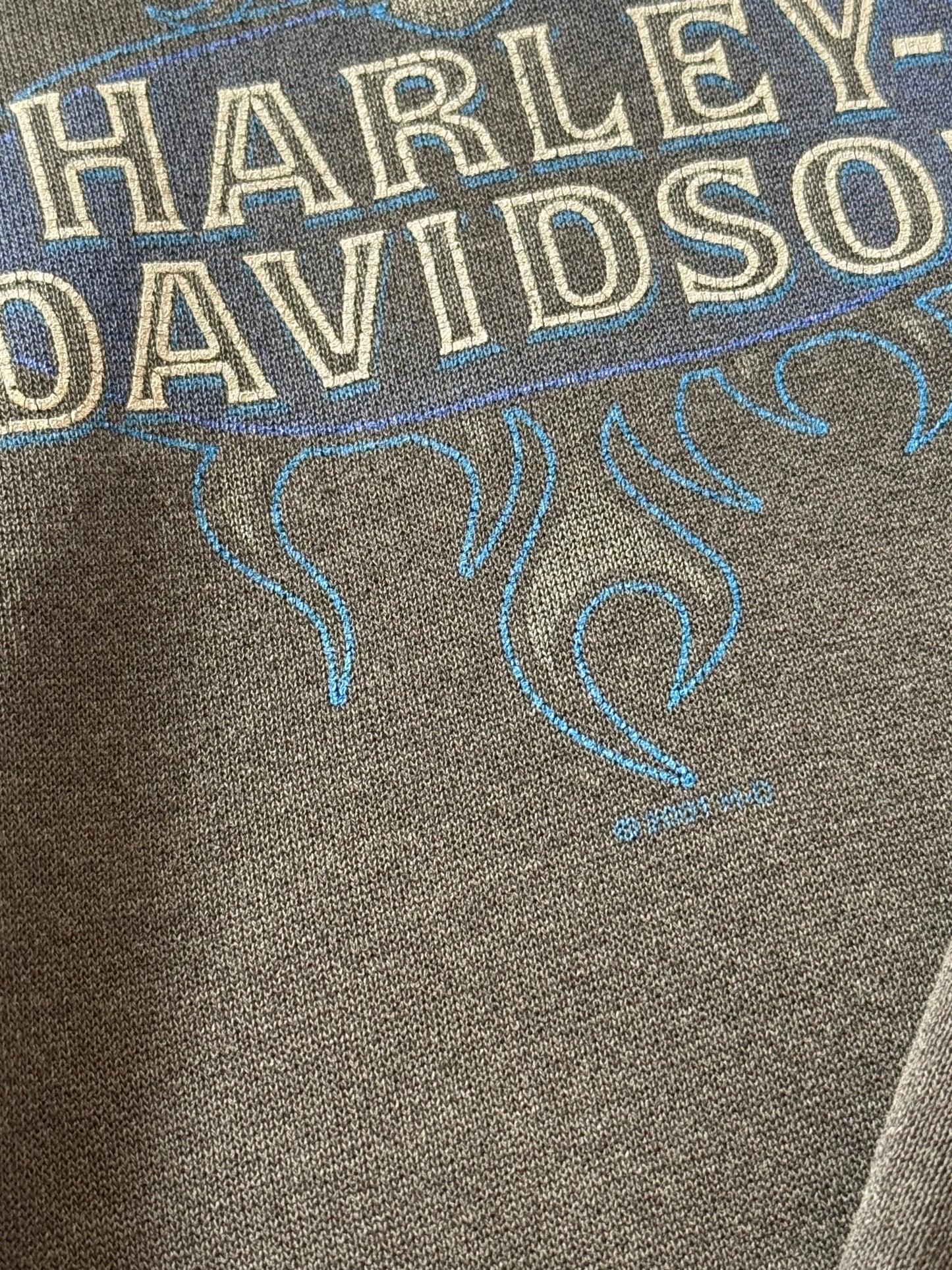 Vintage Harley Davidson Hoodie