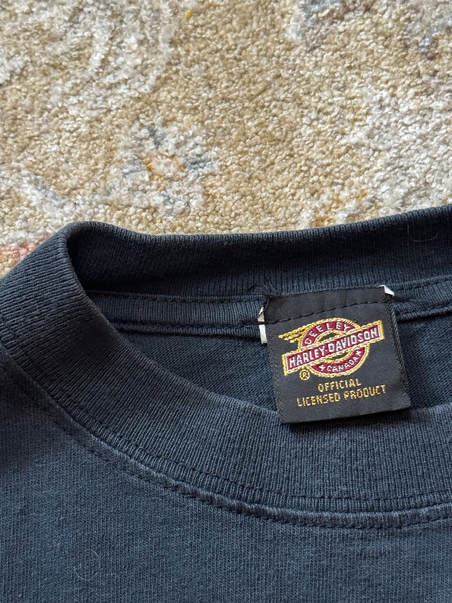 Harley Davidson x Taz Vintage T-Shirt XL