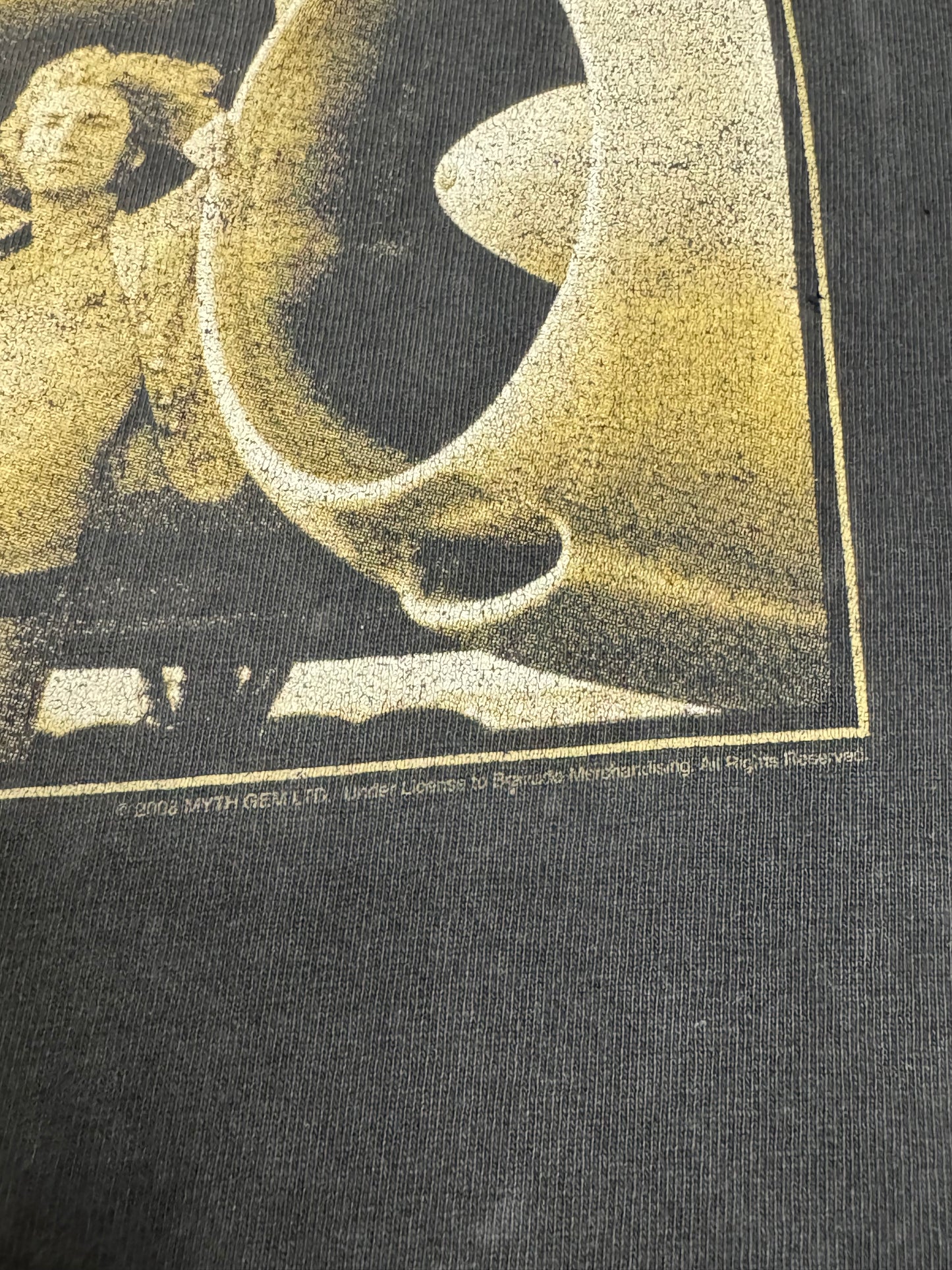 2000s Led Zeppelin T-Shirt 20.5x28